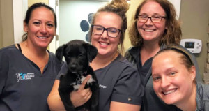 Staff with Hurricane Harvey rescue dog