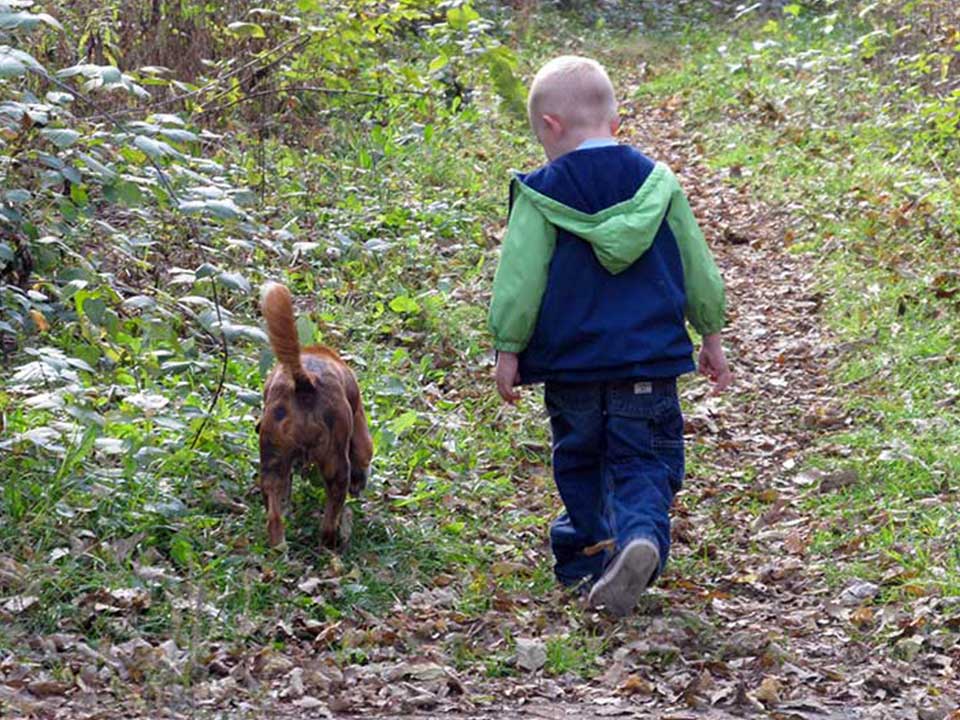 Scooter the dog with his boy in the woods