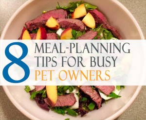 8 meal-planning tips for busy pet owners