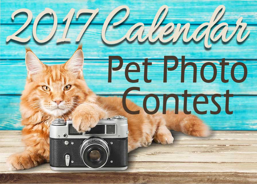 2017 Calendar Pet Photo Contest