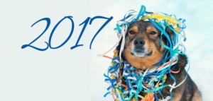 2017 New Year Pet Resolution