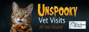 Unspooky Vet Visits all year round