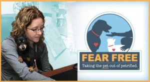 Fear Free Veterinary Practice