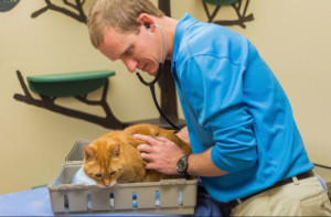 Dr. Mike examining cat from inside carrier