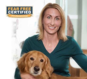 dr kelly fear free certified