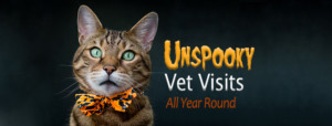 unspooky vet visits