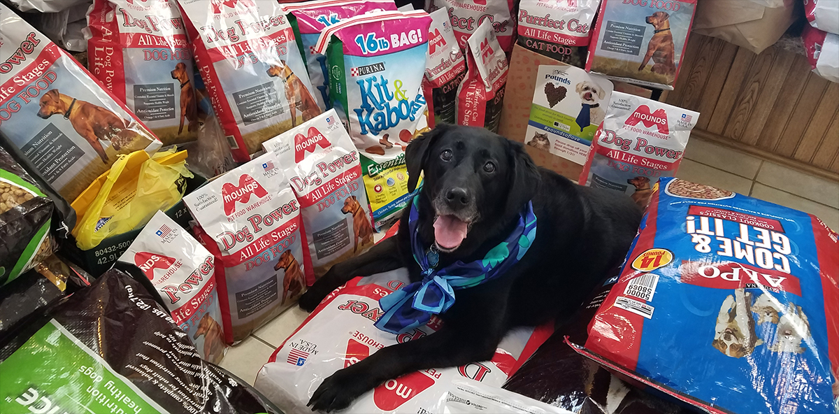 dog with pet food donations