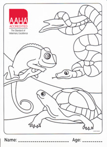 AAHA coloring page lizard turtle snake