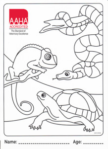 AAHA lizard turtle snake thumbnail