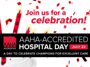 join us for an AAHA celebration