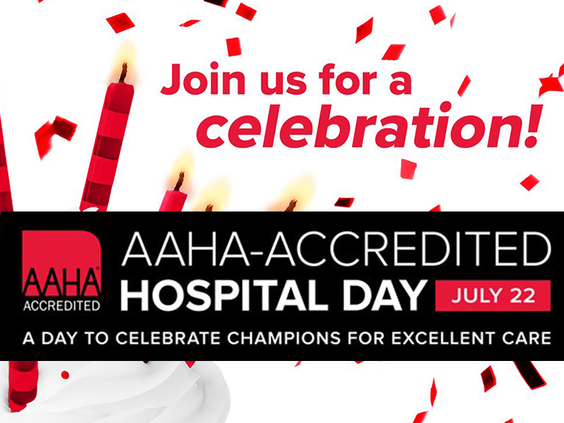 join us for an AAHA celebration