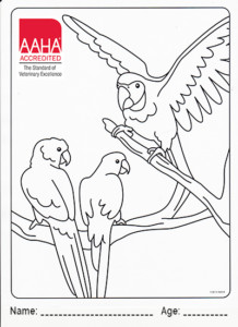 AAHA coloring page parrots