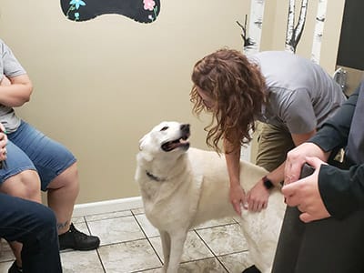 Lacey happy to see her VSMT doctor