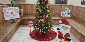 Giving tree for animals in need