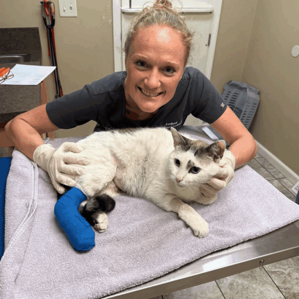 Happy Tail--A Second Chance for Spirit - Tom Kolpien Divot Logo 1