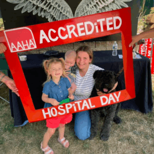 Celebrating AAHA Day at Janesville Veterinary Clinic 9 Celebrating AAHA Day at Janesville Veterinary Clinic - Untitled 600 x 600 px 22 1