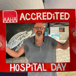 Celebrating AAHA Day at Janesville Veterinary Clinic 23 Celebrating AAHA Day at Janesville Veterinary Clinic - Untitled 600 x 600 px 8 1