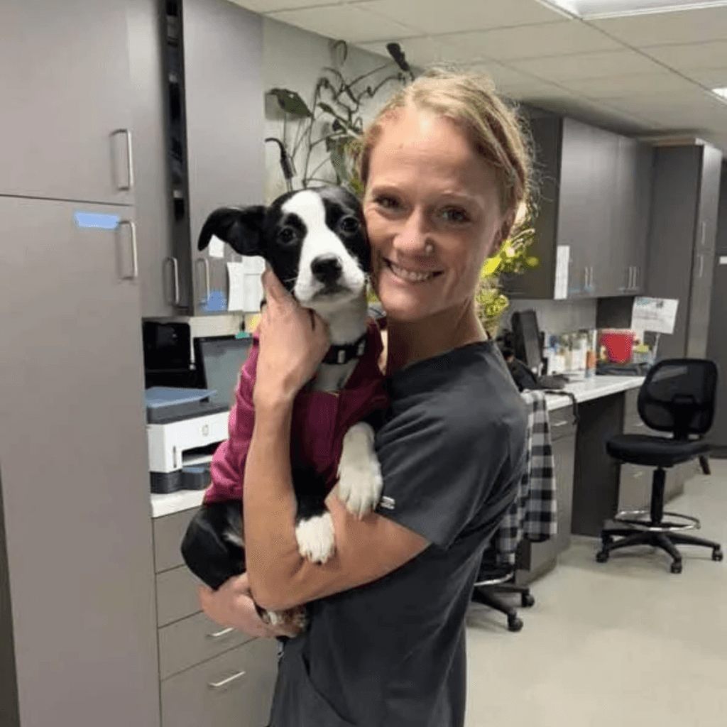 Vet tech with puppy patient